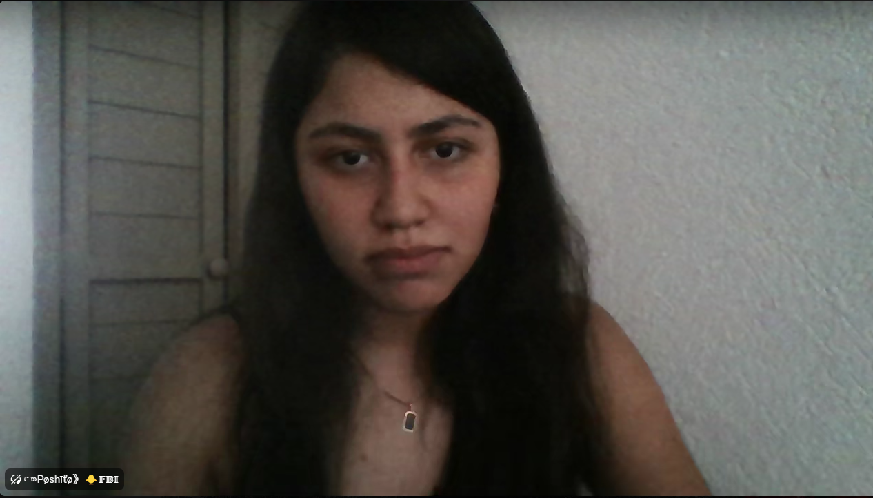 Captura de pantalla 2025-07-31 204710.png